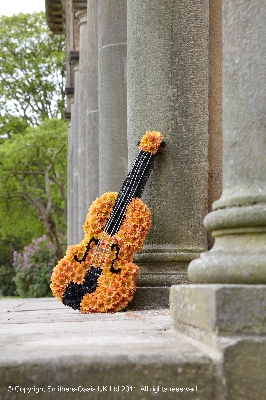 Violin Tribute