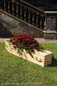 All Rose Coffin Spray